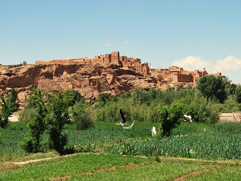 Forbes place le Maroc parmi les 10 destinations à visiter en 2015
